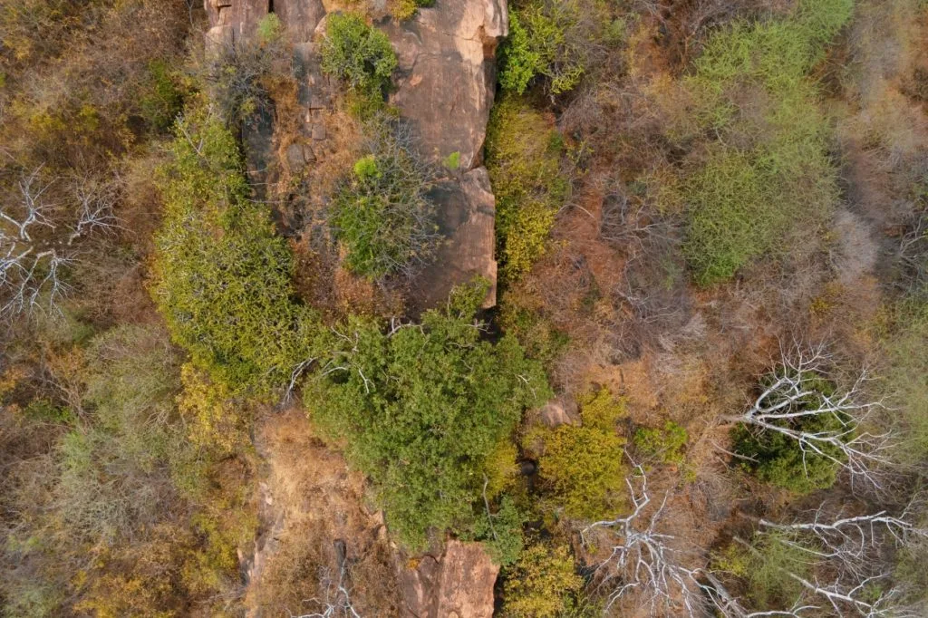 Aerial view of rugged rocky terrain and scattered forest canopy with sparse greenery and dry trees, highlighting hard-to-reach locations suitable for cargo drone deliveries.