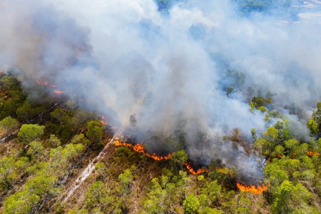 Drones for Wildfires: Aerial view of forest wildfire with heavy smoke and advancing flames.