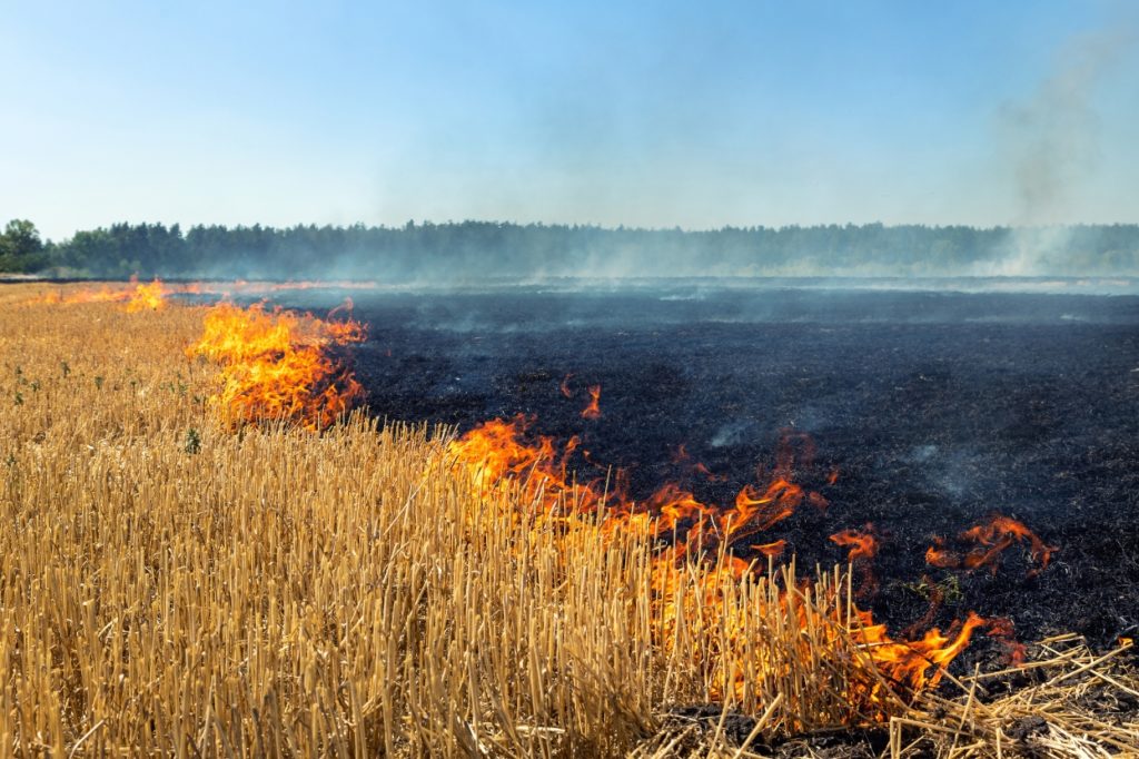 Firefighting drones: Flames spreading across harvested field with visible fire line.